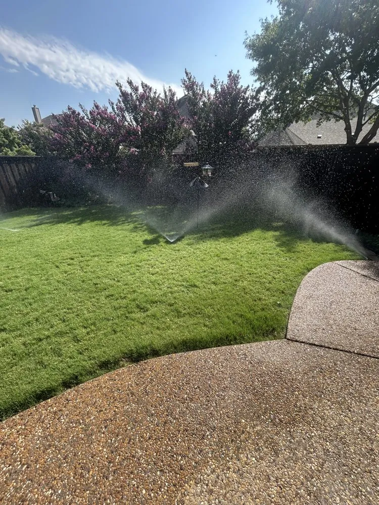 Reliable yard cleanup service in Plano, TX by Lawn Cowboys