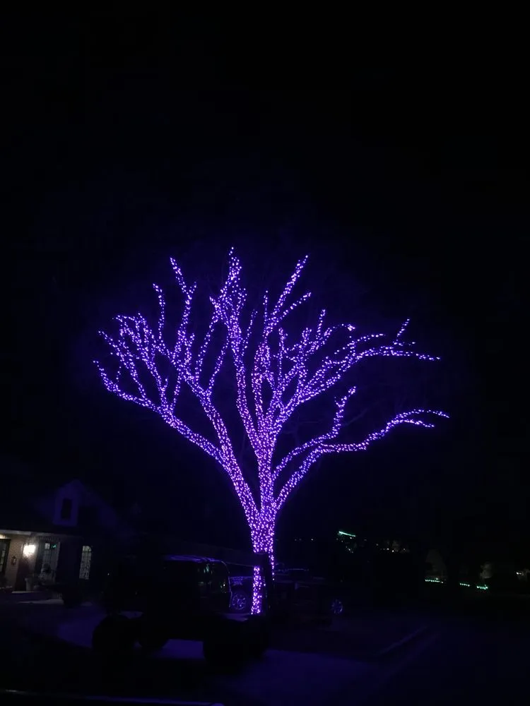 Affordable garden landscaping in San Antonio, TX - Lawn Craft