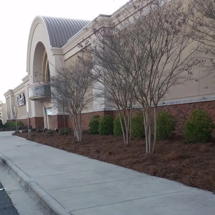 Expert landscape design in Burlington, NC by Lawn Creations Landscapes