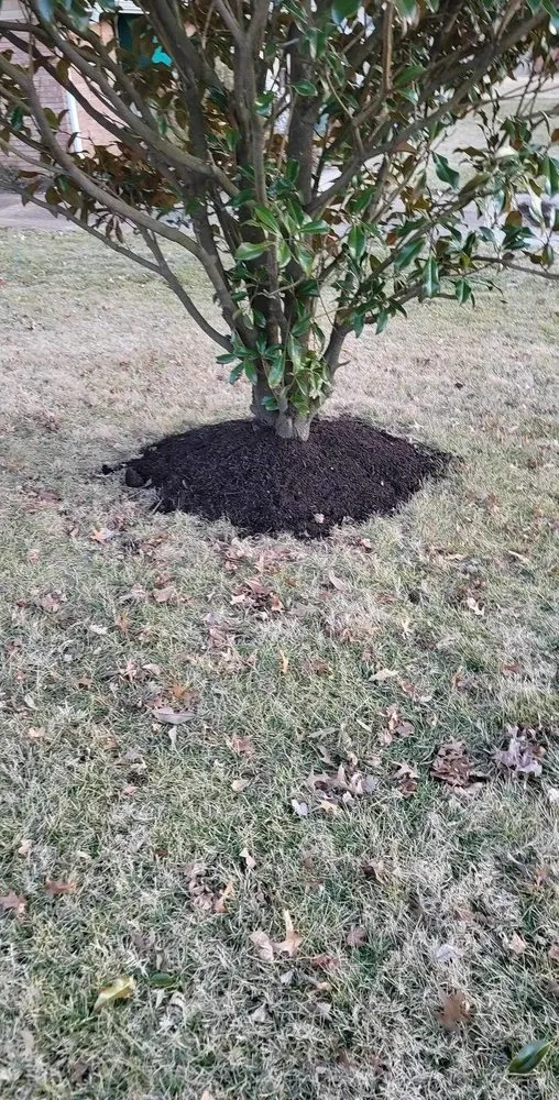 Trusted yard maintenance experts serving Fenton, MO - Lawn Crew Services