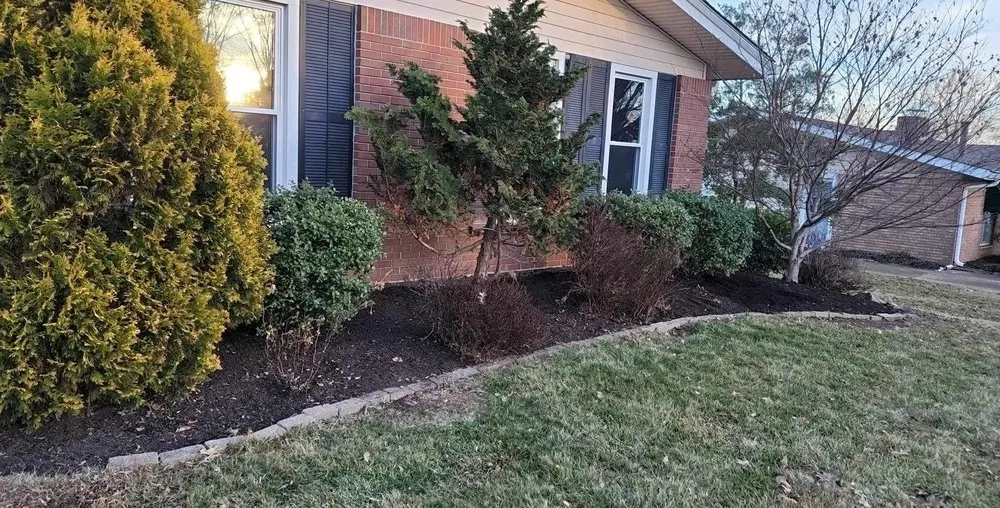 Professional landscape installation in Fenton, MO by Lawn Crew Services