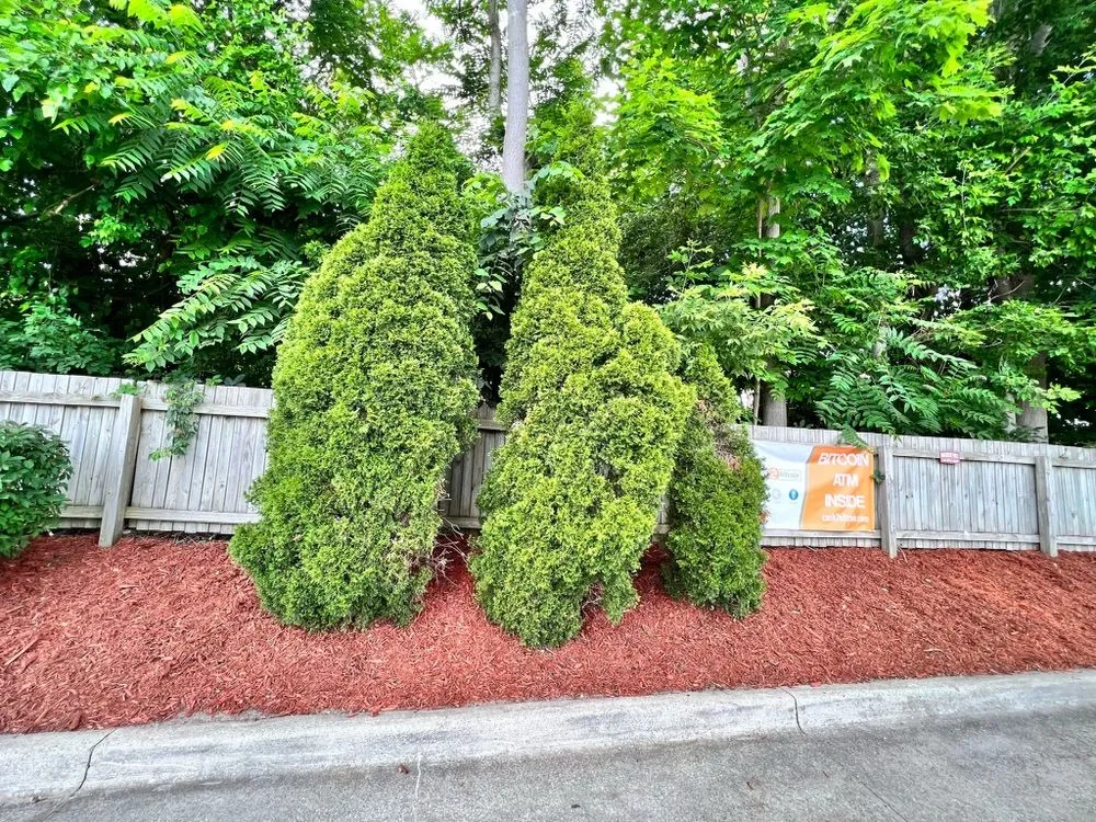 Expert landscape installation near you across Pinckney, MI - Lawn Critters