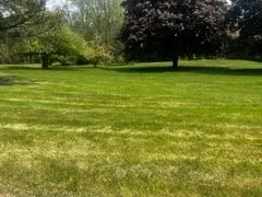 Top-rated yard maintenance for year-round maintenance across Pinckney, MI - Lawn Critters