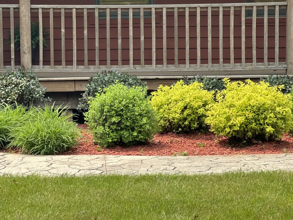 Affordable lawn care service in Pinckney, MI - Lawn Critters