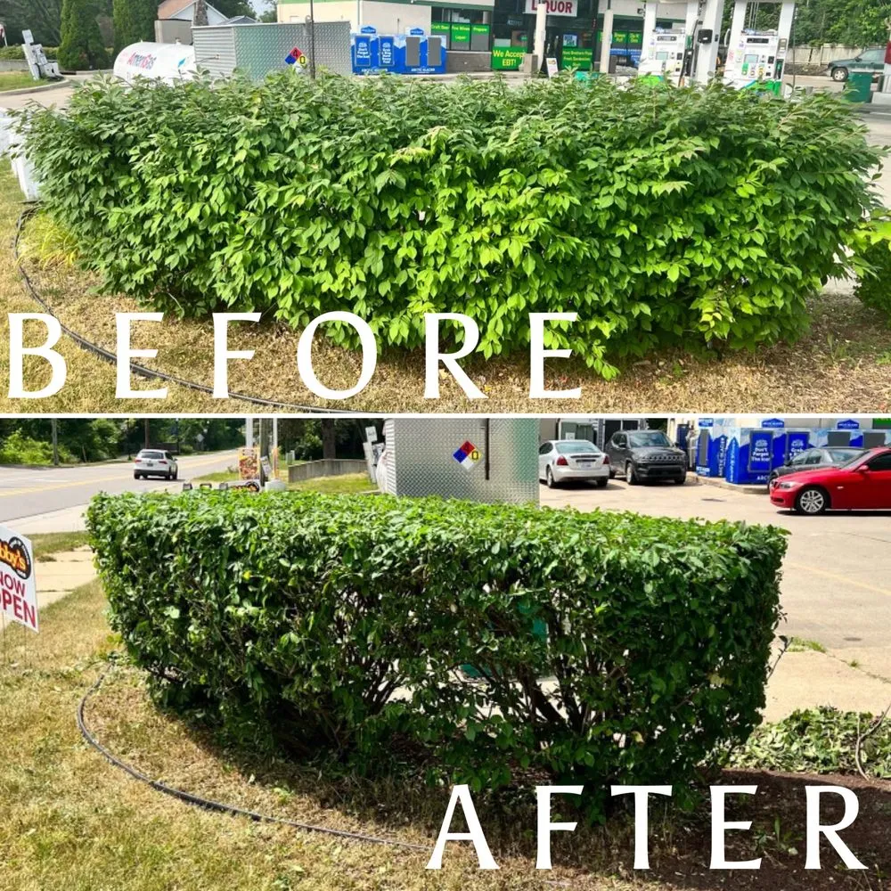 Expert landscape design experts serving Pinckney, MI - Lawn Critters