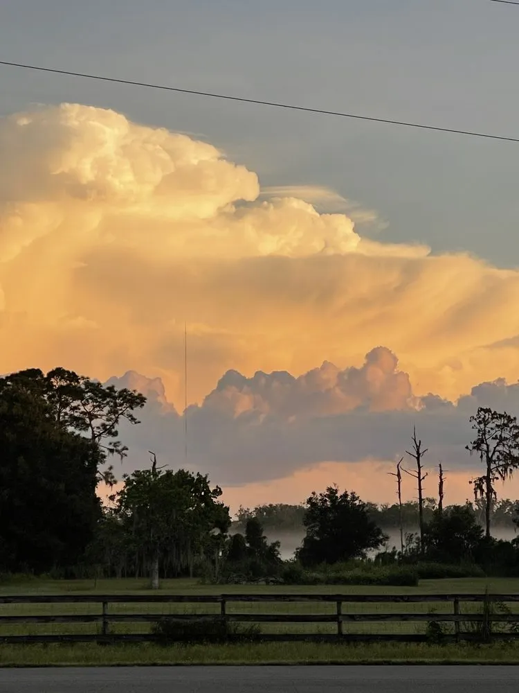 Top-rated yard maintenance experts serving Myakka City, FL - Lawn Culture