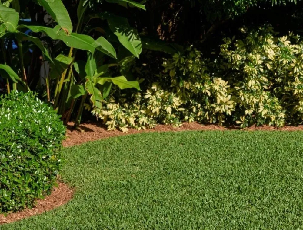 Custom landscape design in Myakka City, FL by Lawn Culture