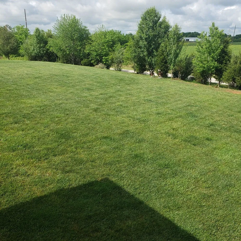 Affordable outdoor landscaping for residential properties across Sellersburg, IN - Lawn Cure