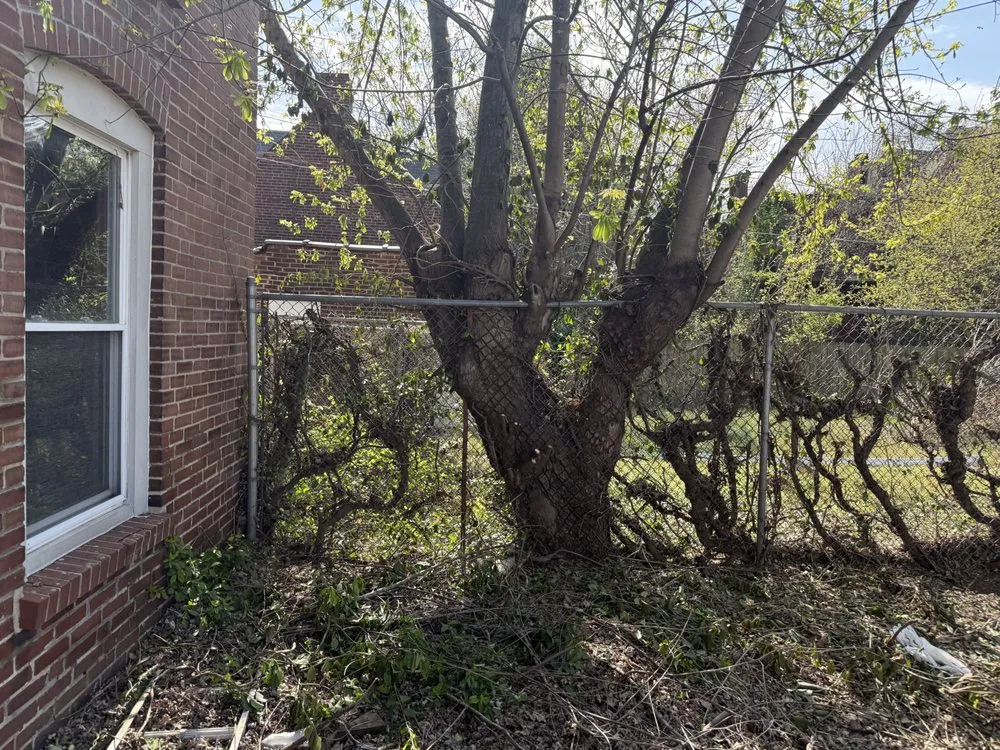 Reliable yard maintenance for residential properties across Florissant, MO - Lawn Custodians