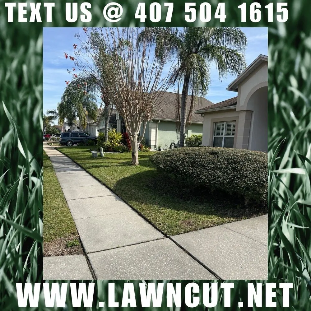 Affordable garden landscaping in Kissimmee, FL by Lawn cut