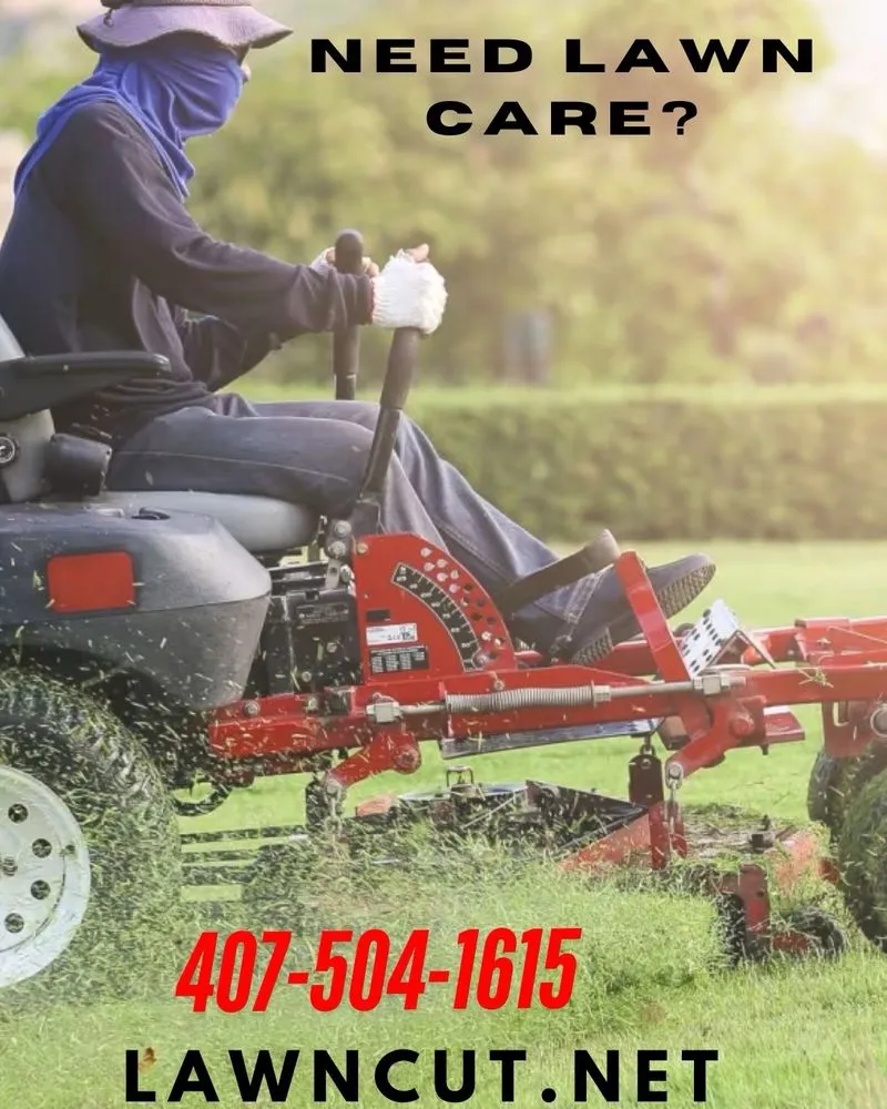 Top-rated outdoor landscaping for year-round maintenance in Kissimmee, FL by Lawn cut