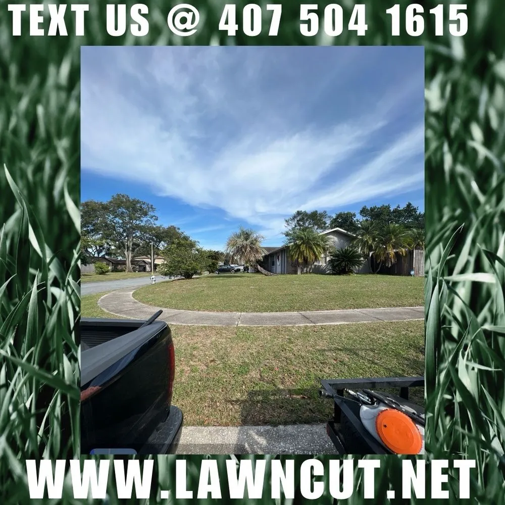 Trusted yard cleanup service in Kissimmee, FL - Lawn cut