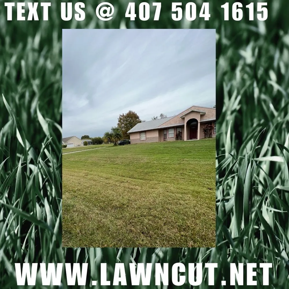 Reliable garden landscaping in Kissimmee, FL - Lawn cut