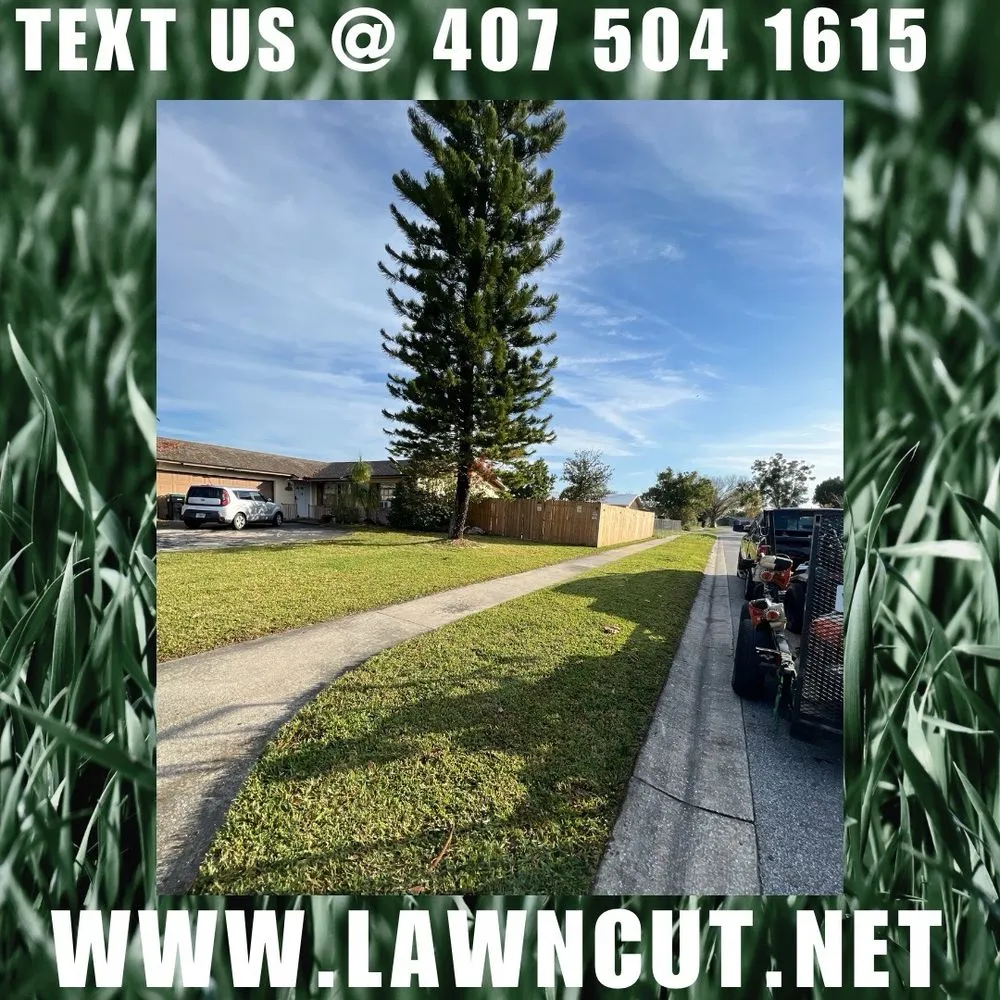 Affordable landscaping services for outdoor upgrades across Kissimmee, FL - Lawn cut