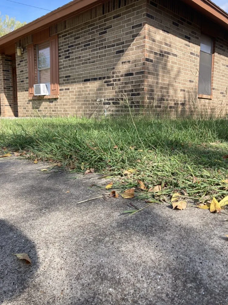 Professional residential landscaping for outdoor upgrades in San Benito, TX by Lawn Cuts