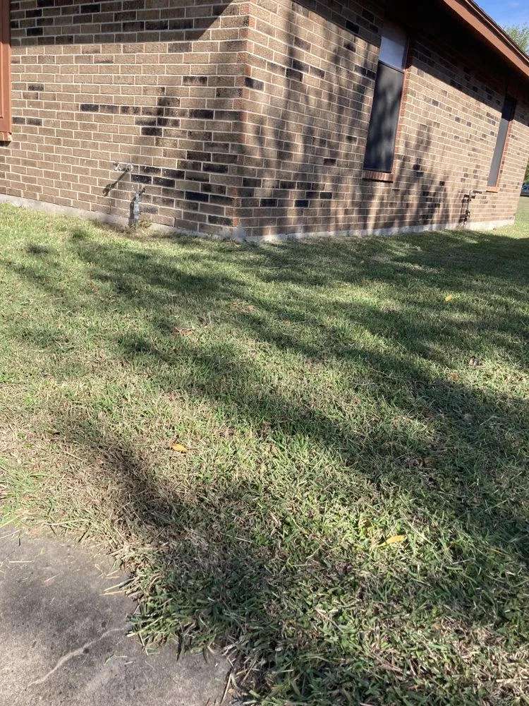 Top-rated outdoor landscaping experts serving San Benito, TX - Lawn Cuts