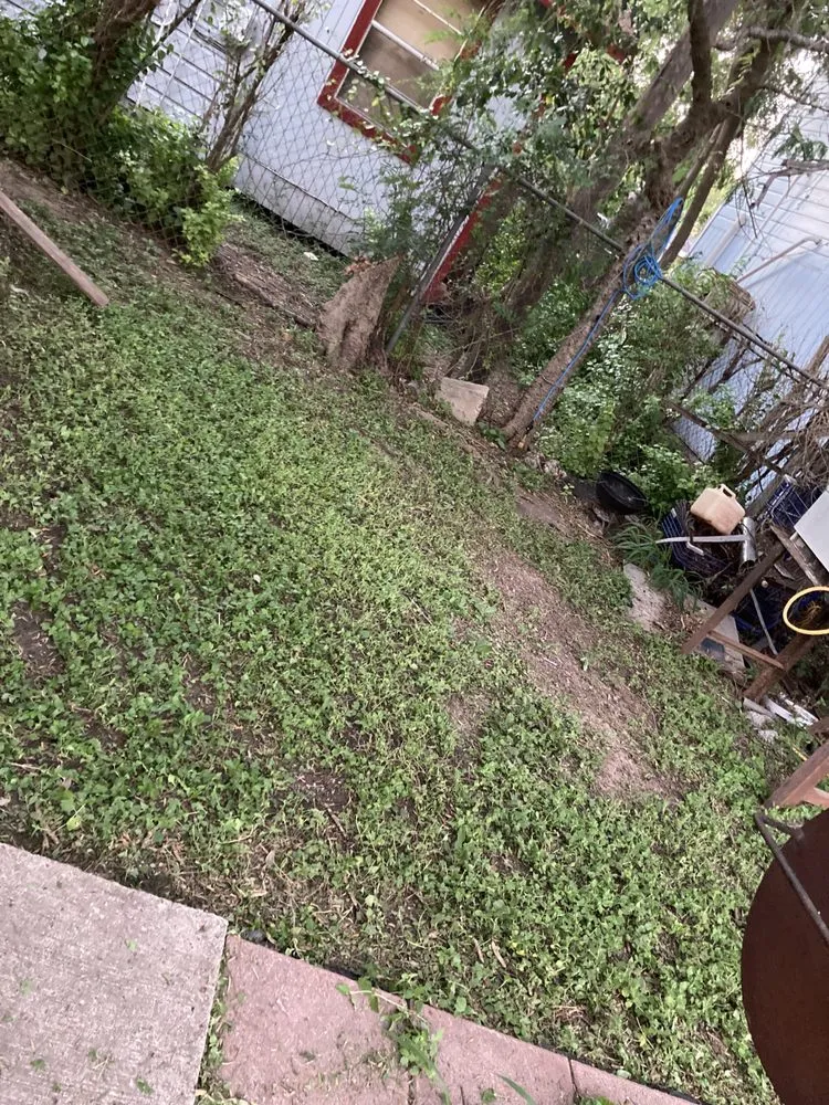 Top-rated residential landscaping for homes in San Benito, TX by Lawn Cuts