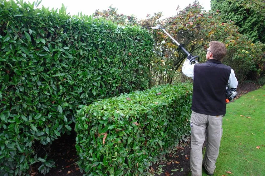 Trusted lawn mowing service near you across Staten Island, NY - Lawn Cutter