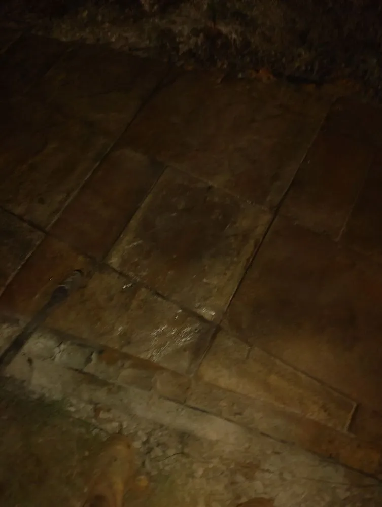 Professional landscape installation in Roebuck, SC by Lawn Cutterzz