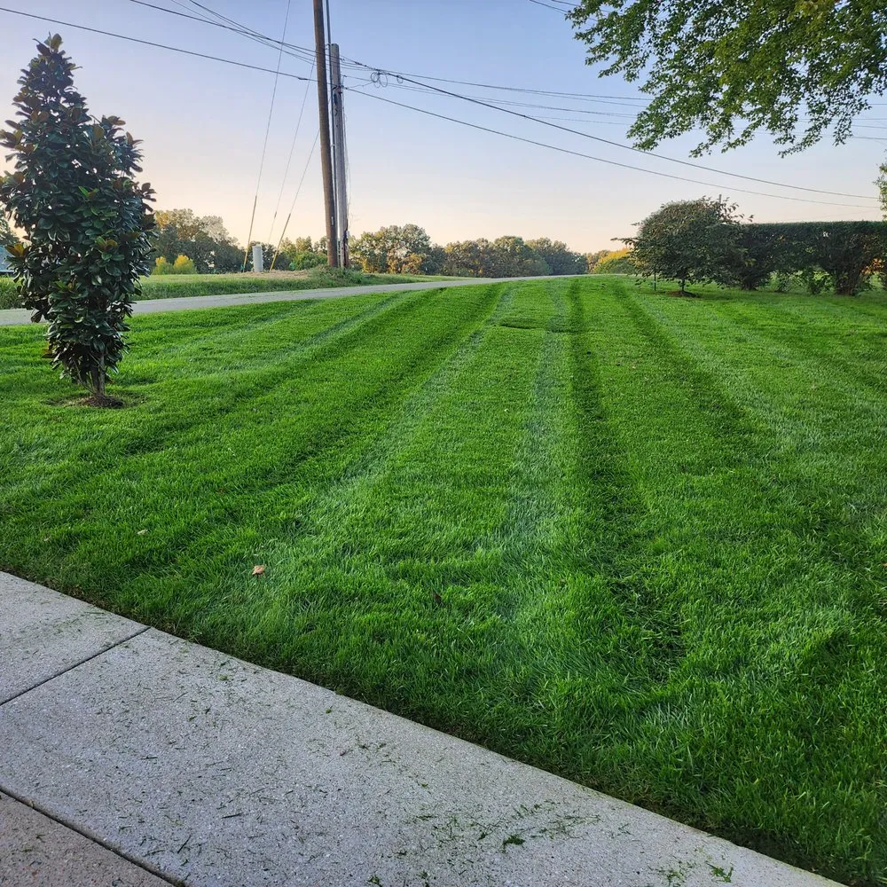 Professional yard cleanup service in Franklin, TN by Lawn Daddy