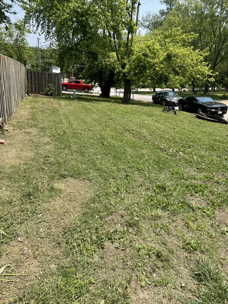 Affordable landscape design in Barnhart, MO by Lawn Daddy’s