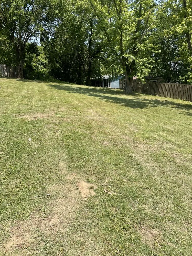 Local yard cleanup service in Barnhart, MO - Lawn Daddy’s