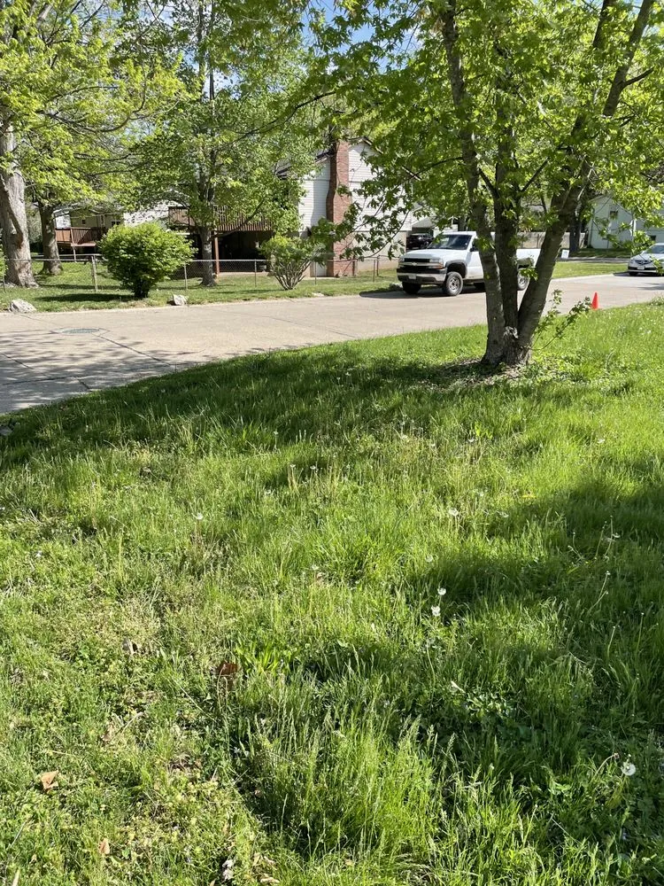 Local lawn care service experts serving Barnhart, MO - Lawn Daddy’s