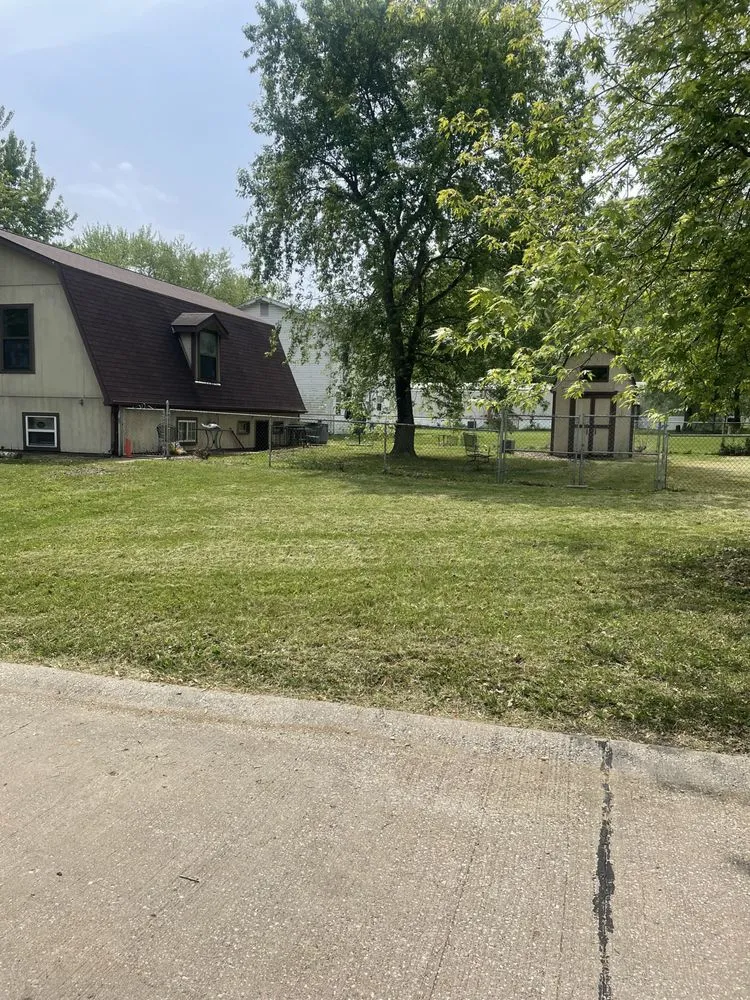 Trusted yard cleanup service for year-round maintenance across Barnhart, MO - Lawn Daddy’s