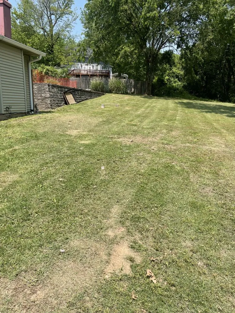 Top-rated lawn care service in Barnhart, MO - Lawn Daddy’s