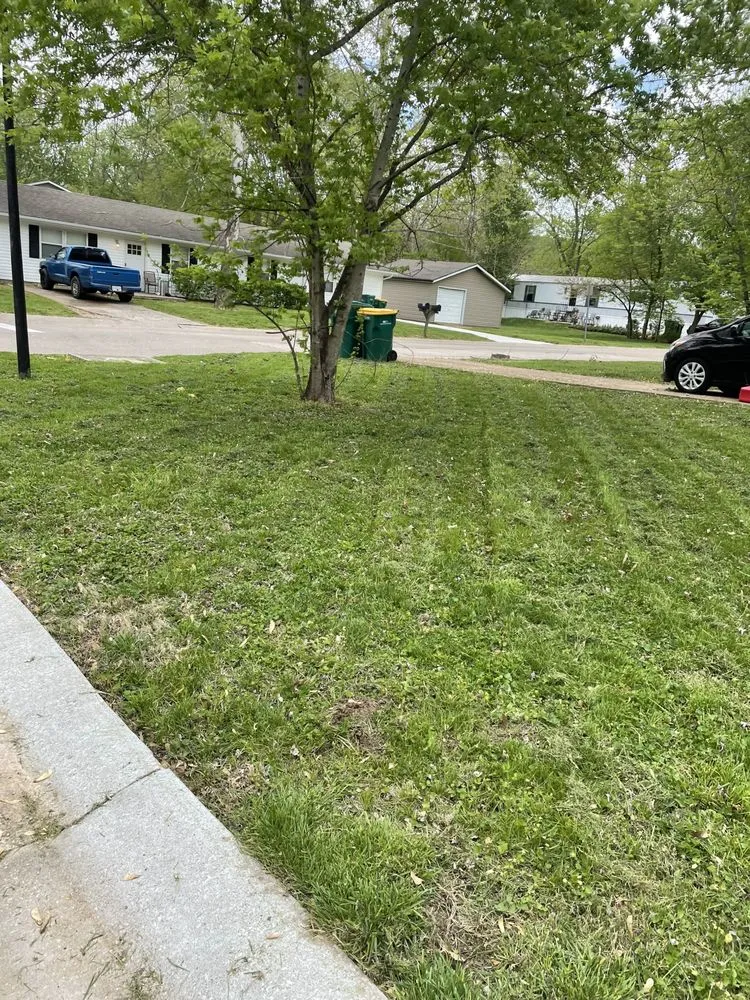 Professional landscaping services in Barnhart, MO - Lawn Daddy’s
