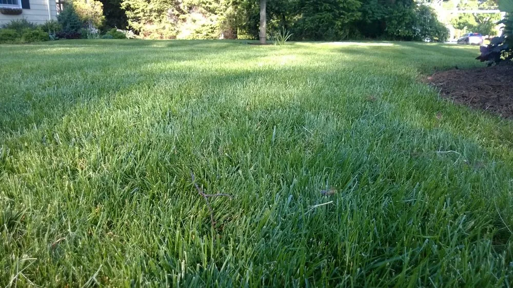 Reliable outdoor landscaping in Danbury, CT by Lawn Dawg