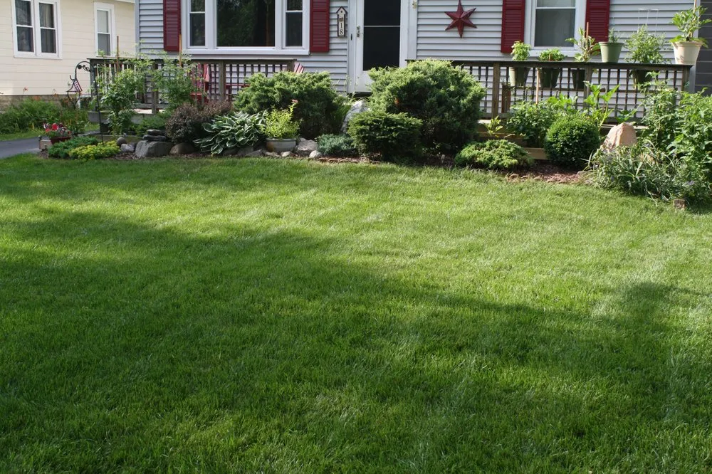 Custom landscaping services for year-round maintenance in Danbury, CT by Lawn Dawg