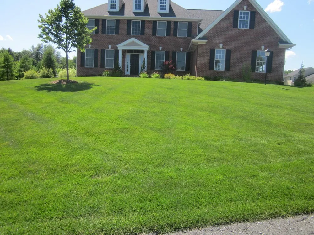 Reliable lawn care service in Fishkill, NY by Lawn Dawg