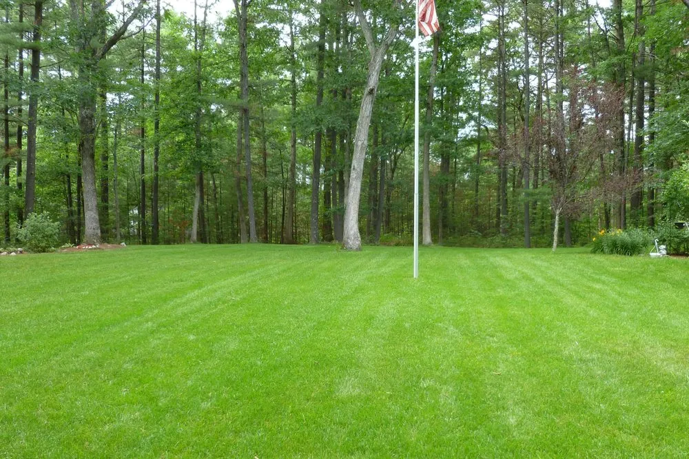 Professional landscape design experts serving Hudson, MA - Lawn Dawg