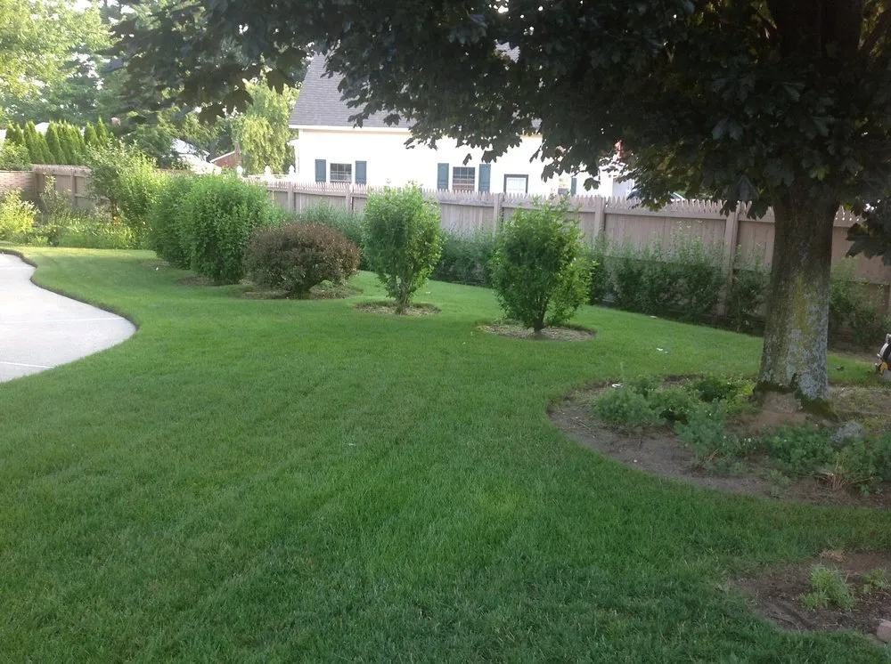 Professional yard cleanup service experts serving Hudson, MA - Lawn Dawg