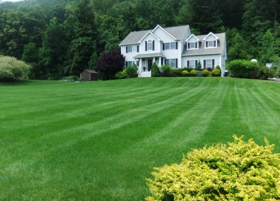 Affordable landscape design experts serving Hudson, MA - Lawn Dawg