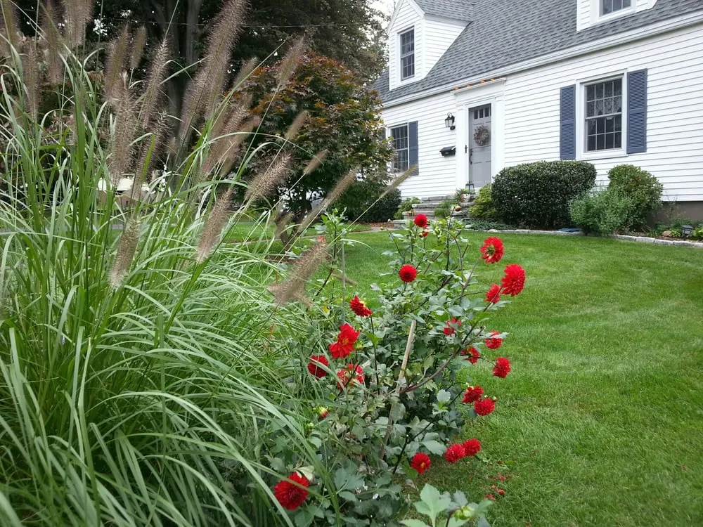 Local garden landscaping experts serving Hudson, MA - Lawn Dawg