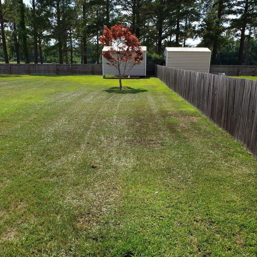 Professional outdoor landscaping in Jacksonville, NC by Lawn Dawg Lawn Care