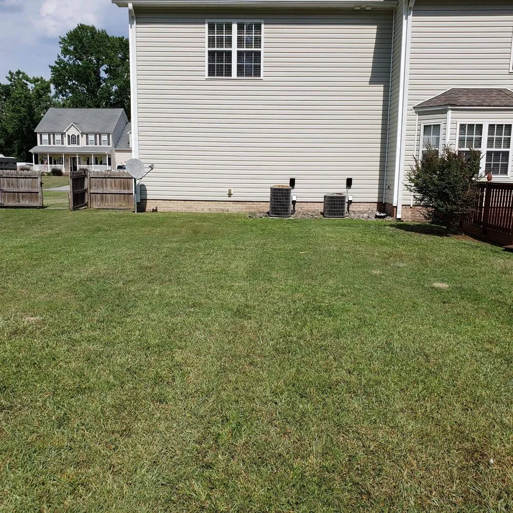 Local landscape installation for year-round maintenance across Jacksonville, NC - Lawn Dawg Lawn Care