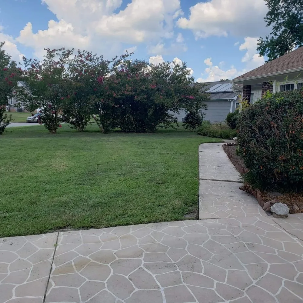 Trusted yard cleanup service for year-round maintenance across Jacksonville, NC - Lawn Dawg Lawn Care