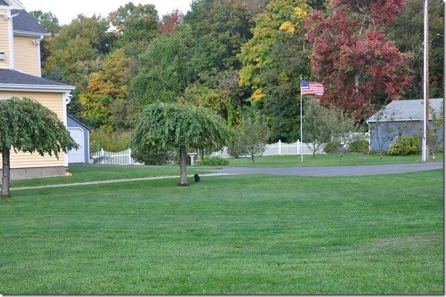 Reliable lawn care service experts serving Litchfield, NH - Lawn Dawg