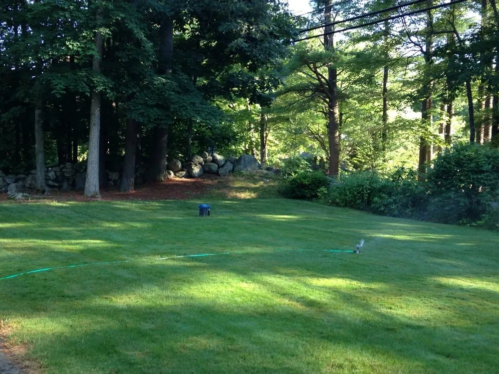 Affordable yard cleanup service in Litchfield, NH - Lawn Dawg