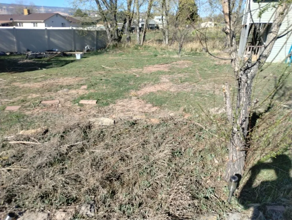 Local lawn care service in Grand Junction, CO by Lawn Dawg Mowing Service