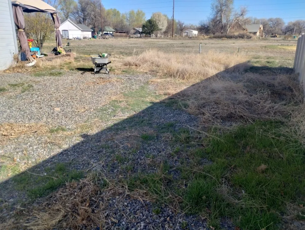 Professional landscape installation experts serving Grand Junction, CO - Lawn Dawg Mowing Service