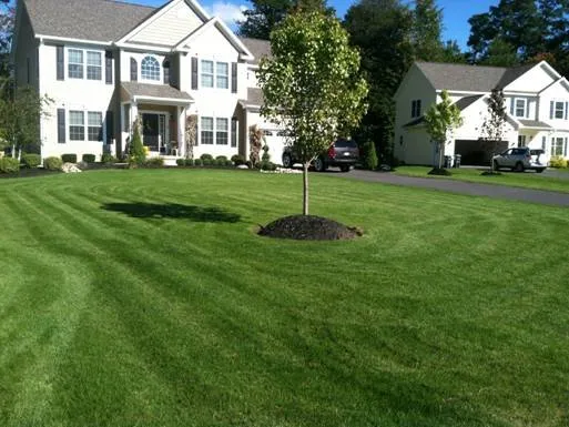 Professional landscaping services for outdoor upgrades in Portland, ME by Lawn Dawg