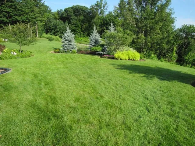 Expert garden landscaping for year-round maintenance in Portland, ME by Lawn Dawg