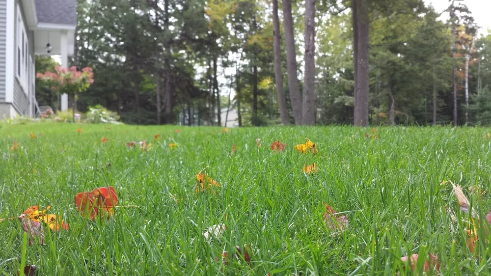 Top-rated landscape installation in Portland, ME - Lawn Dawg