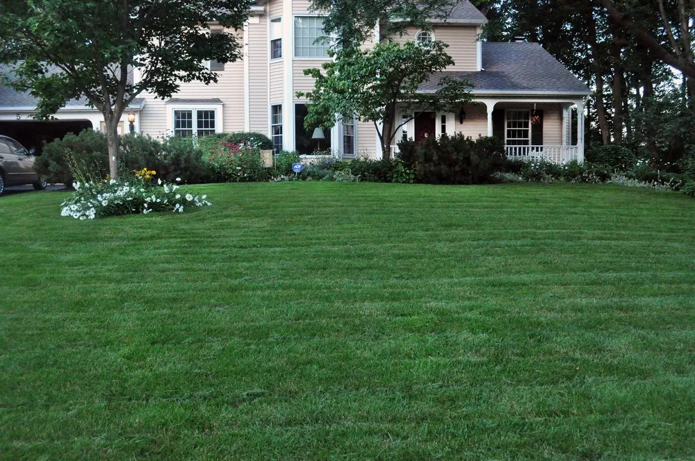 Professional yard maintenance for beautiful yards in Portland, ME by Lawn Dawg