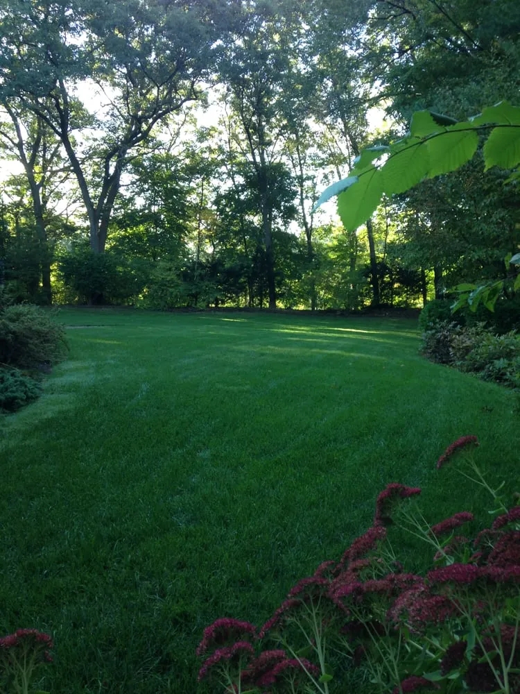 Affordable lawn care service experts serving Raynham, MA - Lawn Dawg