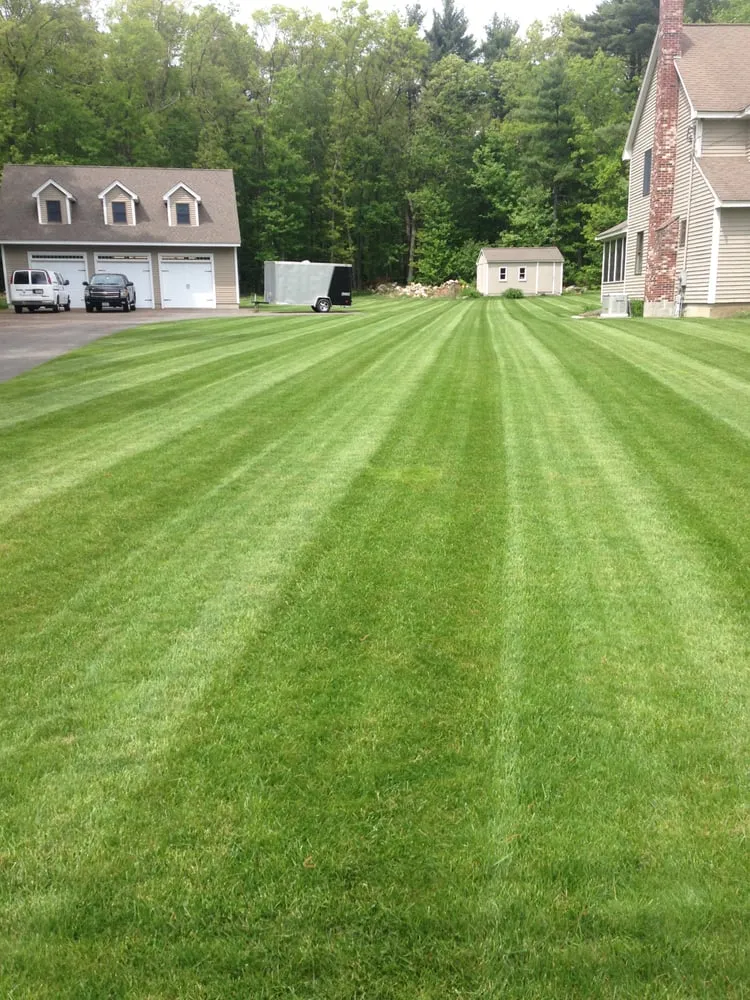 Top-rated landscaping services in Raynham, MA - Lawn Dawg